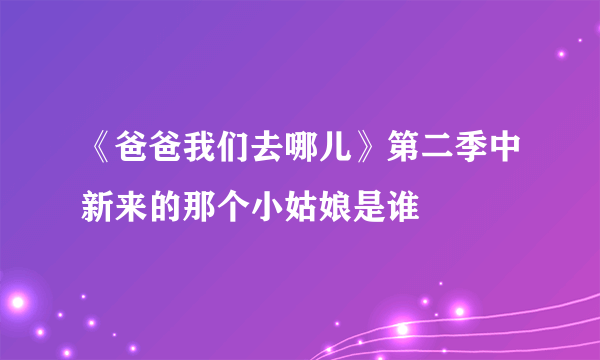 《爸爸我们去哪儿》第二季中新来的那个小姑娘是谁