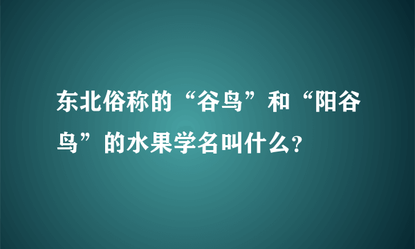 东北俗称的“谷鸟”和“阳谷鸟”的水果学名叫什么？