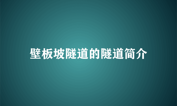 壁板坡隧道的隧道简介