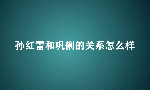 孙红雷和巩俐的关系怎么样