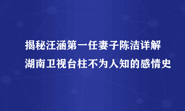 揭秘汪涵第一任妻子陈洁详解湖南卫视台柱不为人知的感情史