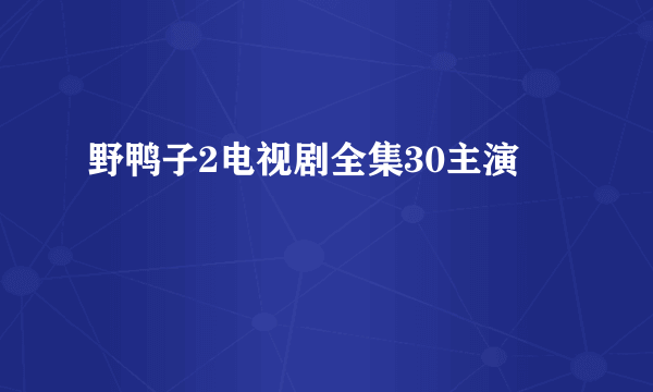 野鸭子2电视剧全集30主演