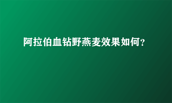 阿拉伯血钻野燕麦效果如何？