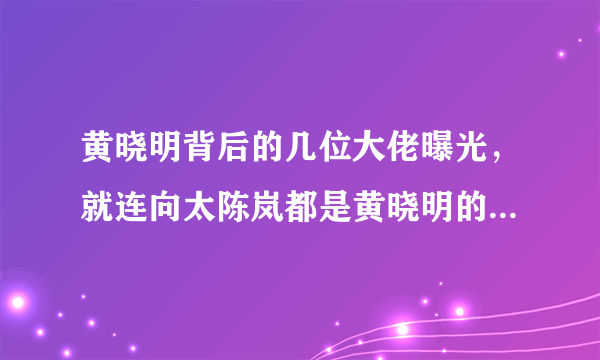 黄晓明背后的几位大佬曝光，就连向太陈岚都是黄晓明的干妈，这一位就更厉害了!