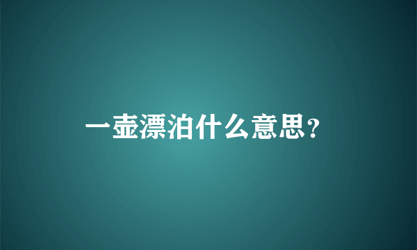 一壶漂泊什么意思？