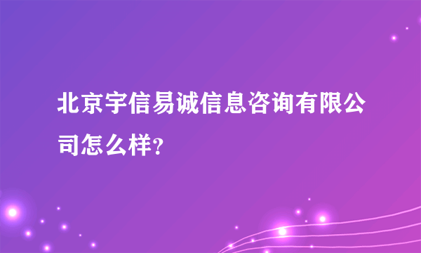 北京宇信易诚信息咨询有限公司怎么样？