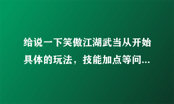 给说一下笑傲江湖武当从开始具体的玩法，技能加点等问题，谢了！