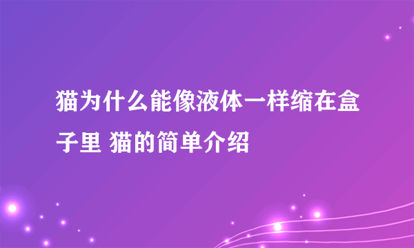 猫为什么能像液体一样缩在盒子里 猫的简单介绍