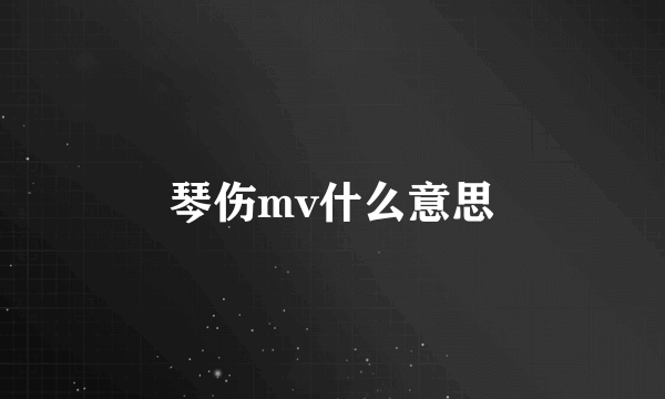 琴伤mv什么意思