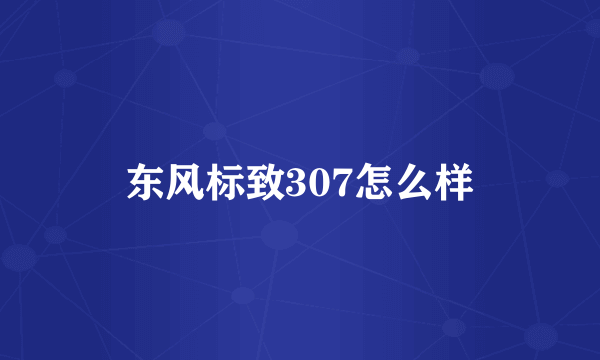 东风标致307怎么样