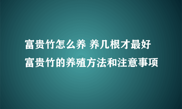 富贵竹怎么养 养几根才最好 富贵竹的养殖方法和注意事项