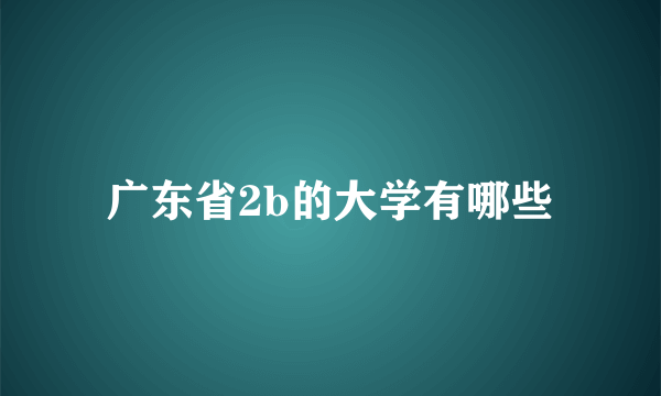 广东省2b的大学有哪些