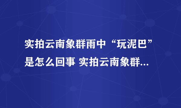 实拍云南象群雨中“玩泥巴”是怎么回事 实拍云南象群雨中“玩泥巴”是什么情况