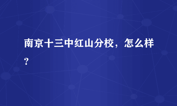 南京十三中红山分校，怎么样？