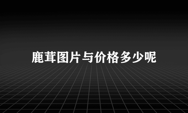 鹿茸图片与价格多少呢