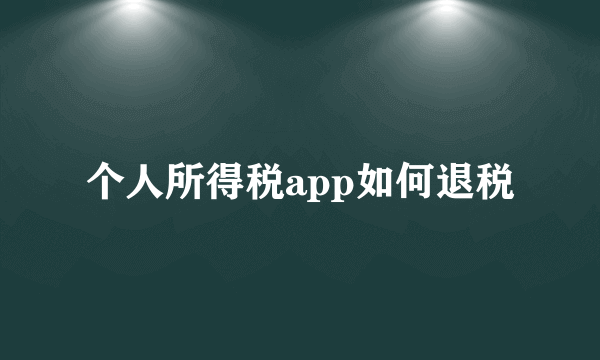 个人所得税app如何退税