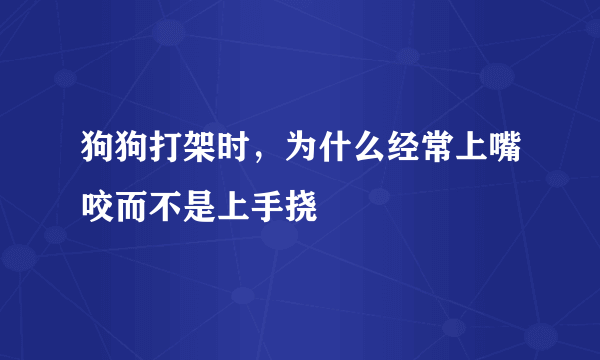 狗狗打架时，为什么经常上嘴咬而不是上手挠