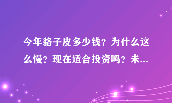 今年貉子皮多少钱？为什么这么慢？现在适合投资吗？未来貉皮还有前途吗？请皮草业的前辈们教教小弟。