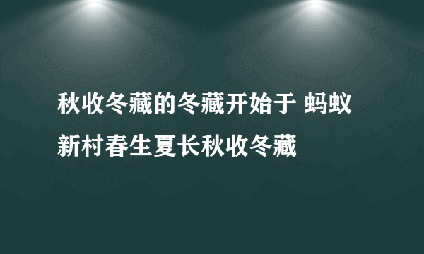 秋收冬藏的冬藏开始于 蚂蚁新村春生夏长秋收冬藏