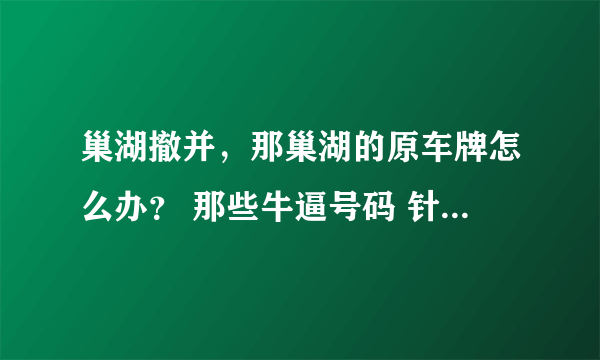 巢湖撤并，那巢湖的原车牌怎么办？ 那些牛逼号码 针可惜了 ~ 是吗啊？