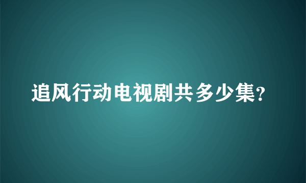 追风行动电视剧共多少集？