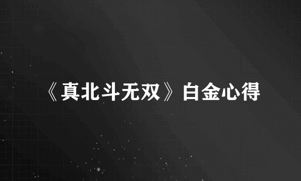 《真北斗无双》白金心得