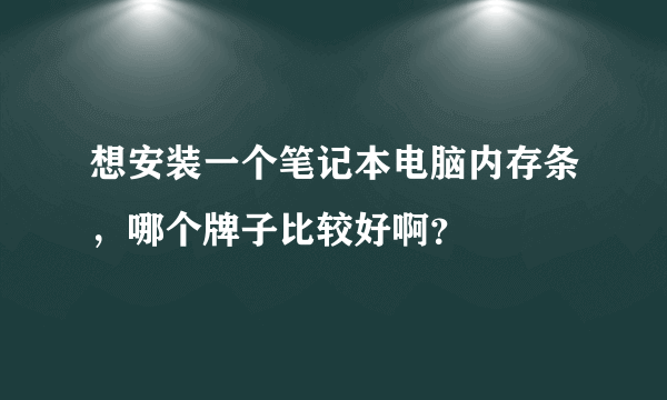 想安装一个笔记本电脑内存条，哪个牌子比较好啊？