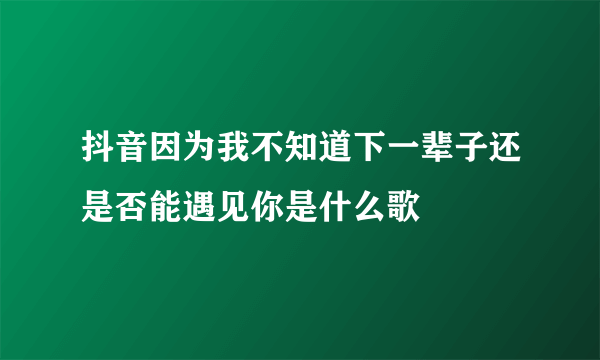 抖音因为我不知道下一辈子还是否能遇见你是什么歌