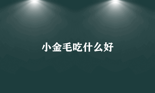 小金毛吃什么好