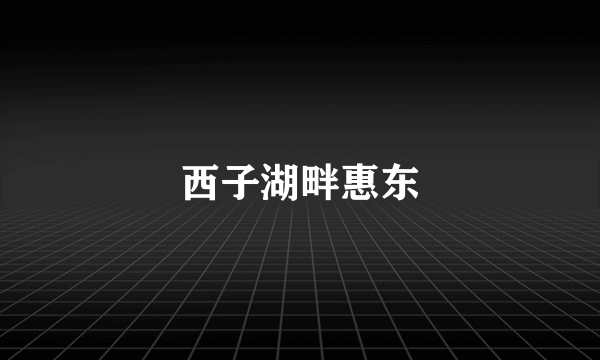 西子湖畔惠东