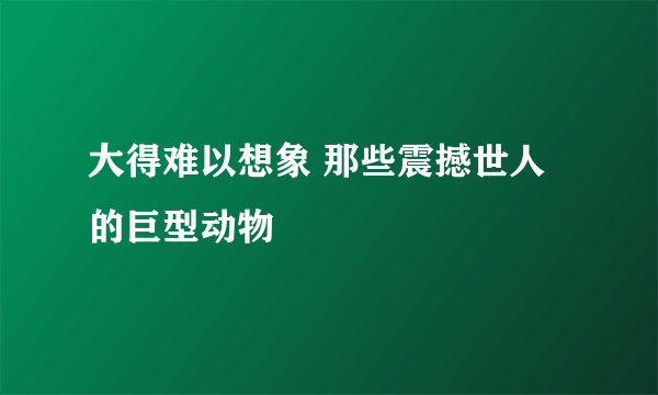 大得难以想象 那些震撼世人的巨型动物