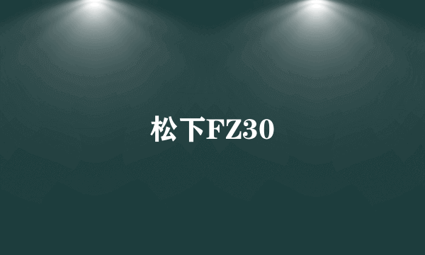 松下FZ30