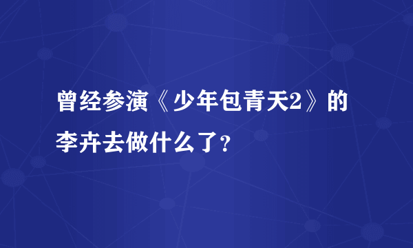 曾经参演《少年包青天2》的李卉去做什么了？