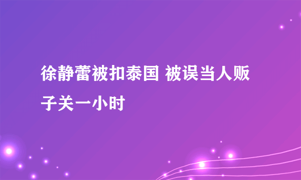 徐静蕾被扣泰国 被误当人贩子关一小时