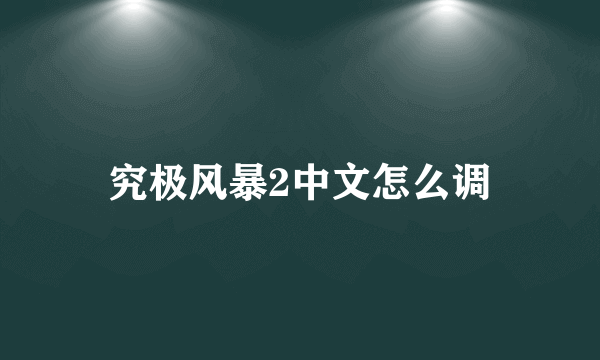 究极风暴2中文怎么调