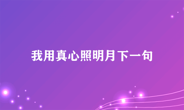 我用真心照明月下一句