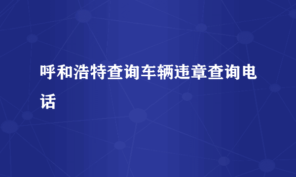 呼和浩特查询车辆违章查询电话