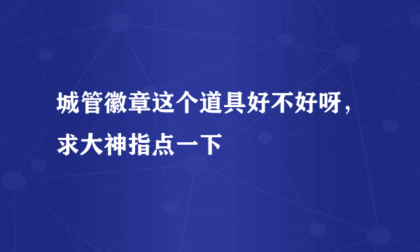 城管徽章这个道具好不好呀，求大神指点一下