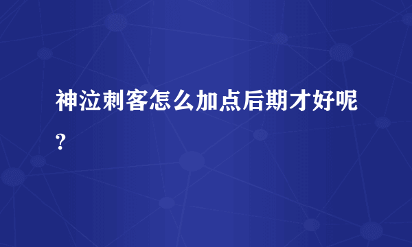 神泣刺客怎么加点后期才好呢?