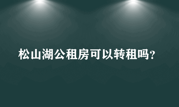 松山湖公租房可以转租吗？