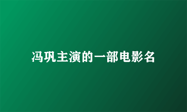 冯巩主演的一部电影名