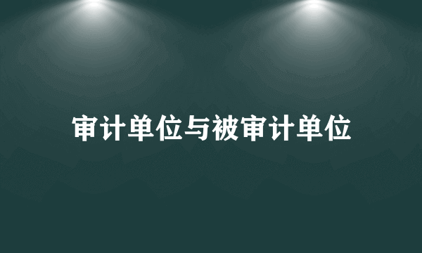 审计单位与被审计单位