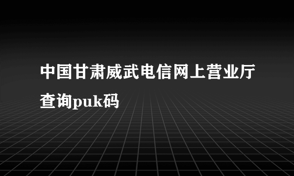 中国甘肃威武电信网上营业厅查询puk码