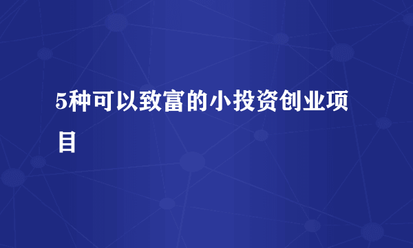 5种可以致富的小投资创业项目