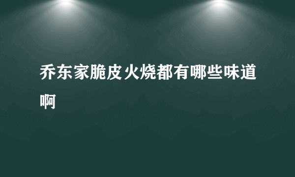 乔东家脆皮火烧都有哪些味道啊