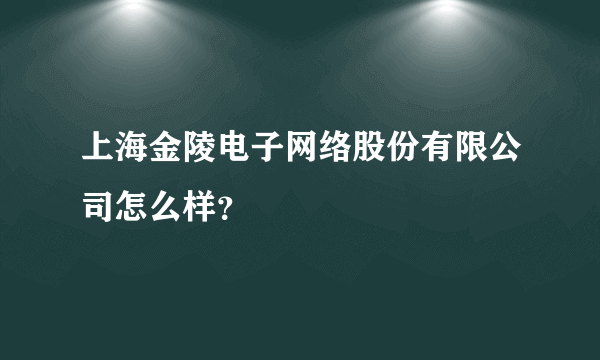 上海金陵电子网络股份有限公司怎么样？