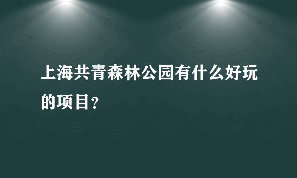 上海共青森林公园有什么好玩的项目？