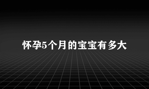 怀孕5个月的宝宝有多大