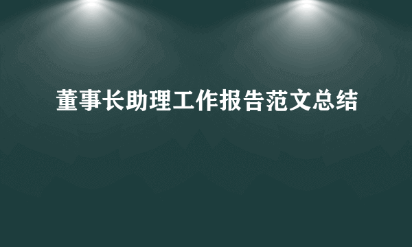 董事长助理工作报告范文总结