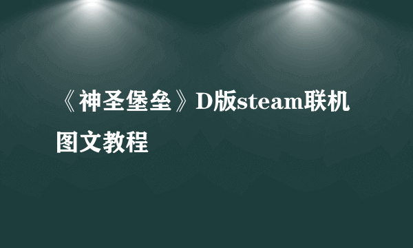 《神圣堡垒》D版steam联机图文教程